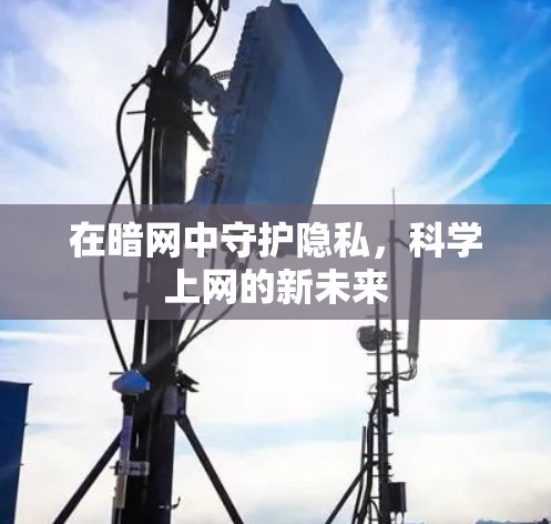 在暗网中守护隐私，科学上网的新未来