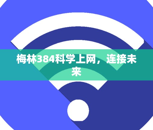 梅林384科学上网，连接未来