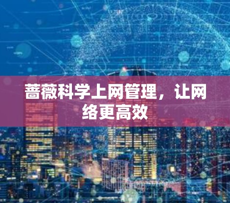 蔷薇科学上网管理，让网络更高效