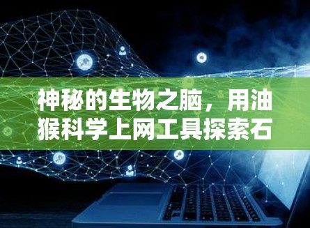 神秘的生物之脑，用油猴科学上网工具探索石油资源