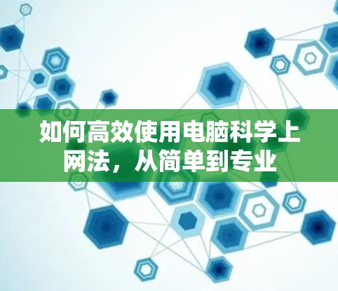 如何高效使用电脑科学上网法，从简单到专业