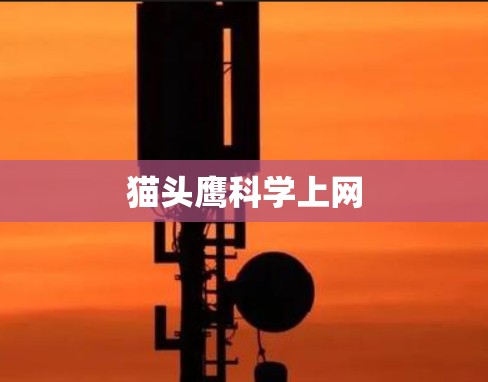 猫头鹰科学上网