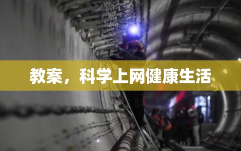 教案，科学上网健康生活