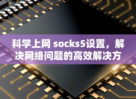 科学上网 socks5设置，解决网络问题的高效解决方案