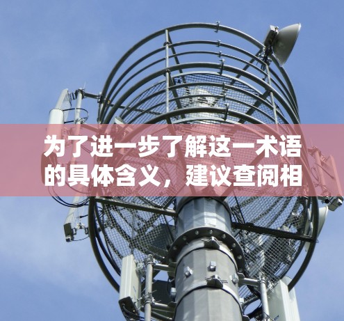 为了进一步了解这一术语的具体含义，建议查阅相关领域的技术资料或咨询专家或研究人员，以确认其具体应用和原理