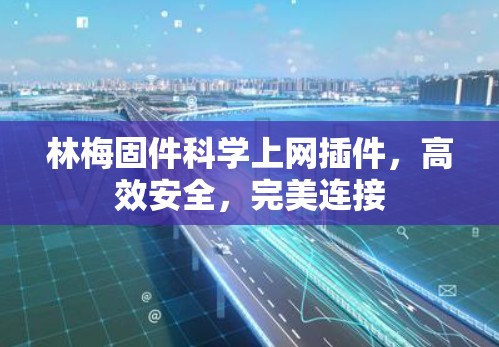 林梅固件科学上网插件,高效安全,完美连接 林梅固件科学上网插件,高效安全,完美连接