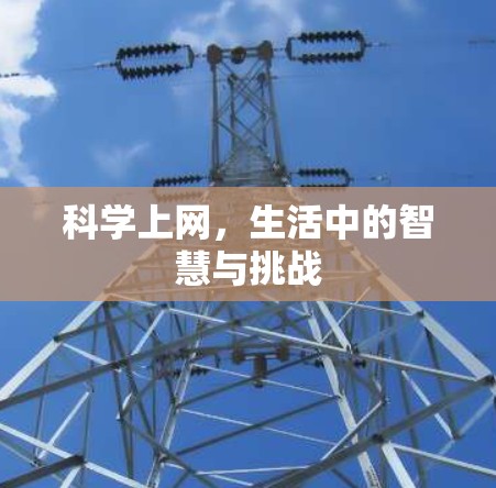 科学上网，生活中的智慧与挑战