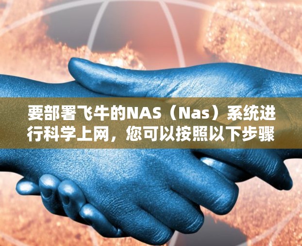 要部署飞牛的NAS（Nas）系统进行科学上网，您可以按照以下步骤进行
