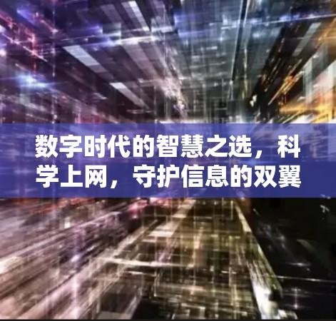 数字时代的智慧之选，科学上网，守护信息的双翼