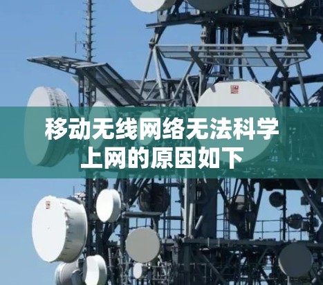 移动无线网络无法科学上网的原因如下