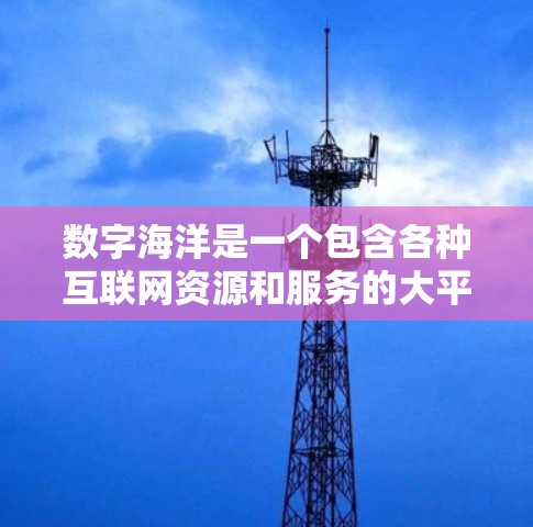 数字海洋是一个包含各种互联网资源和服务的大平台，旨在提供多样化的学习体验和教育资源。以下是对数字海洋的详细总结