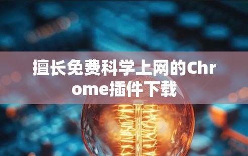 擅长免费科学上网的Chrome插件下载