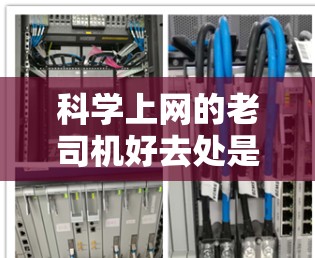 科学上网的老司机好去处是一个综合性的选择，旨在提供高质量、稳定和安全的访问体验。以下是一些推荐的网站和资源，结合了访问量、服务器稳定性、流量限制和安全性的考虑