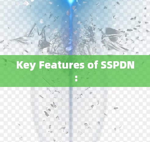Key Features of SSPDN: