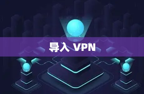 导入 VPN