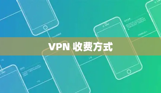 VPN 收费方式