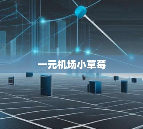 一元机场小草莓