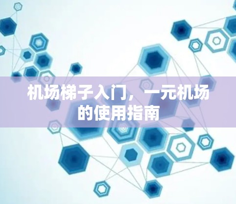机场梯子入门，一元机场的使用指南