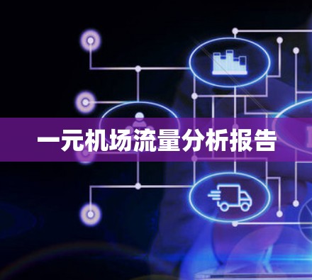一元机场流量分析报告