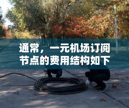 通常，一元机场订阅节点的费用结构如下