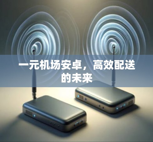 一元机场安卓，高效配送的未来