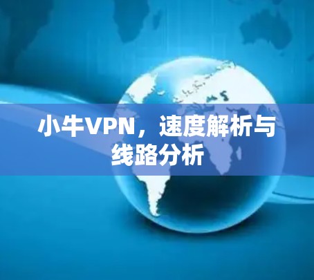 小牛VPN，速度解析与线路分析