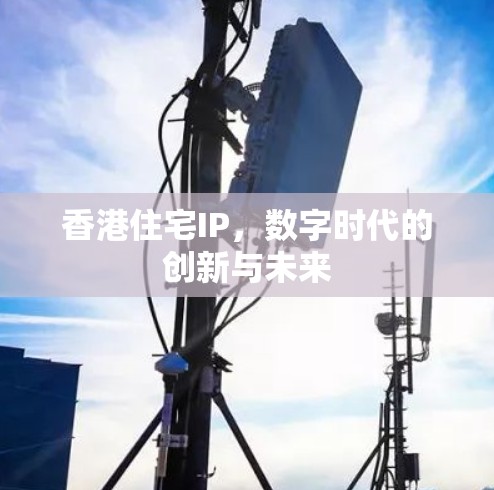 香港住宅IP，数字时代的创新与未来