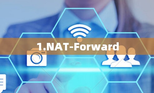 1.NAT-Forward