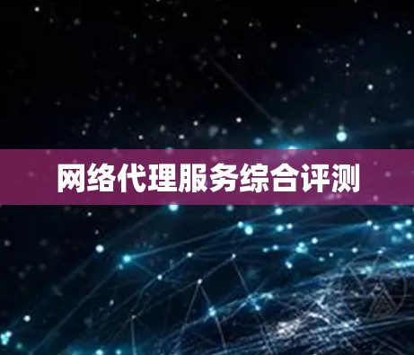 网络代理服务综合评测