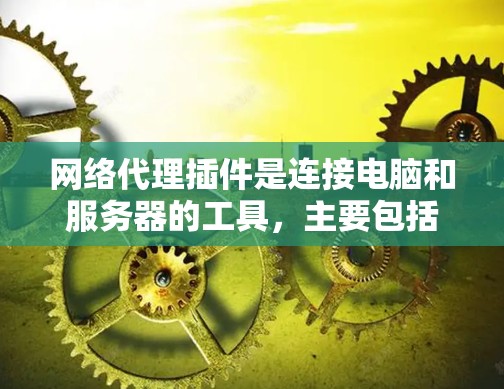 网络代理插件是连接电脑和服务器的工具，主要包括以下步骤