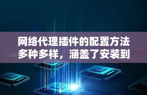 网络代理插件的配置方法多种多样，涵盖了安装到本地服务器、通过远程服务器连接以及使用命令行工具等多种方式。以下是对这些方法的详细解析