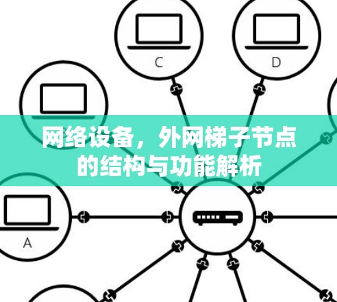 网络设备，外网梯子节点的结构与功能解析